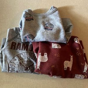 Boys 12-18 month Sweatshirt Bundle
